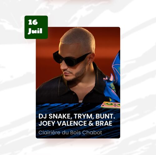 Place De Concert Festival De Poupet. Date: 16/07/2015 Dj Snacke, Trym, Bunt. Joey Valence & Brad À Saint Laurent Sur Sèvre. Un Événement Électro