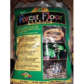 Forest Floor Reptiles 