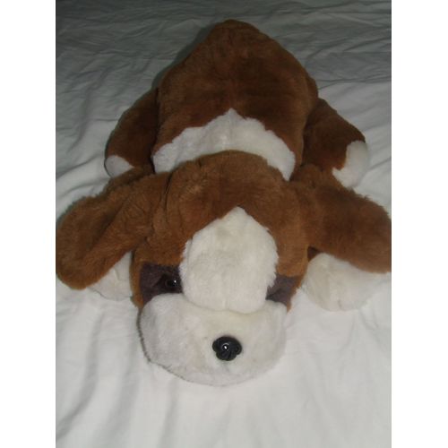 Chien Nicotoy Allonge Marron Blanc Berger Saint Bernard St Bernard