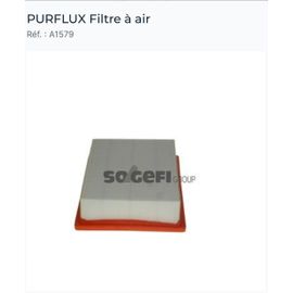A1579 Purflux Filtre À Air Pour Chevrolet