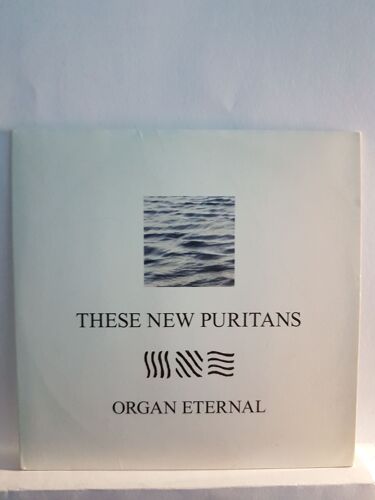 These New Puritans     Organ Eternal