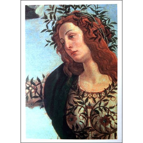 Botticelli Sandro Lot Cartes Postales Tableaux Peinture Reproduction