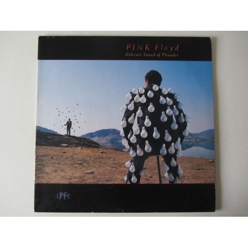 Delicate Sound Of Thunder : Shine On You Crazy Diamond - Sorrow - One Of These Days - Time - Money - Another Brick In The Wall - Wish You Were Here - Comfortably Numb - Run Like Hell - Etc...