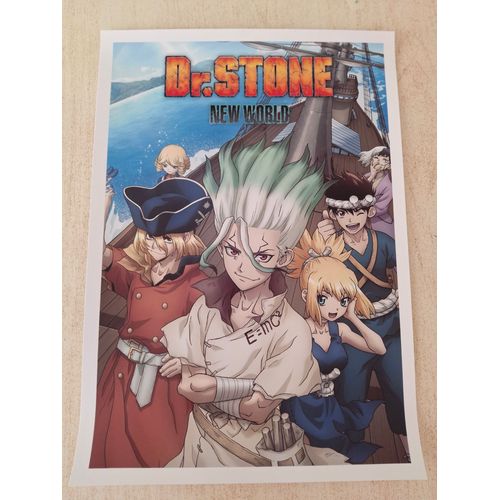Affiche / Poster De La Série Animée "Dr Stone" - 29,7 X 42 Cm