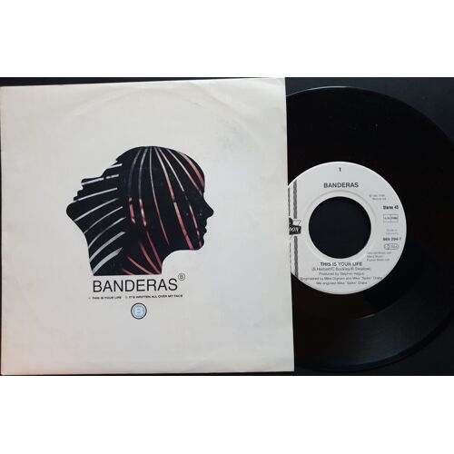Banderas This Is Your Life