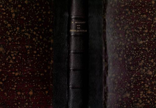 La Peur De Vivre. Edition 1902. Avec La Préface De L'auteur Et Une Introduction Inédite De M. René Doumic, De L'académie Française.