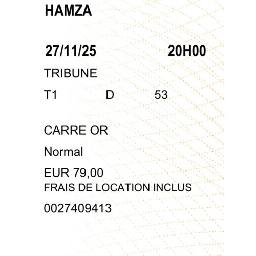 Concert De Hamza Au Zénith De Lille