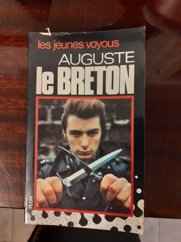 Les Jeunes Voyous