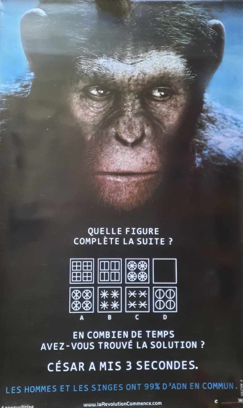 Affiche La Planete Des Singes pas cher - Meilleures offres Soldes Hiver 2026, image size:787x1321