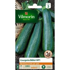 Vilmorin Sachet Graines De Courgette Belor