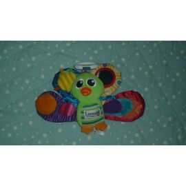 oiseaux vert