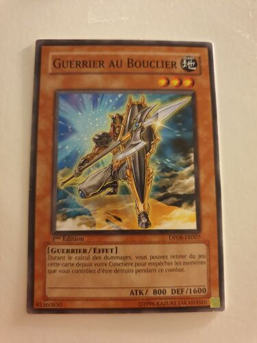 Guerrier Au Bouclier