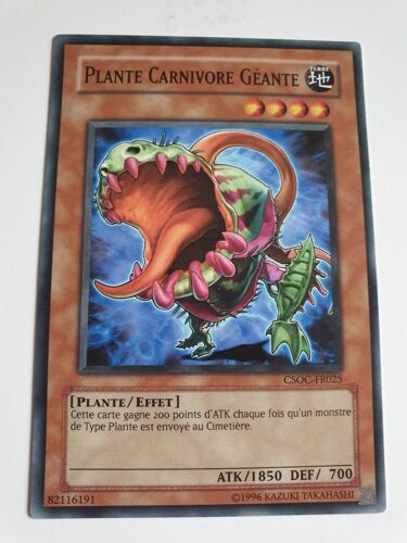 Plante Carnivore Geante