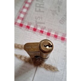 Cylindre avec 1 clé Bricard