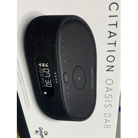 Harman cardon citation oasis dab 500
