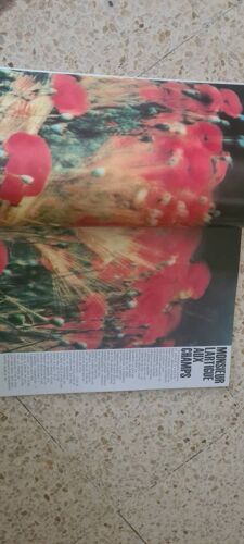 Magazine Photo. N 118. Juillet 1977# Mucha#Lartigue