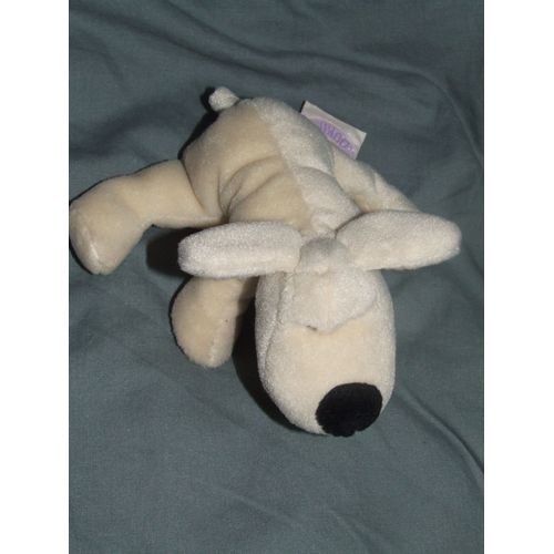 Chien Noukies Noukie's Beige Truffe Noire