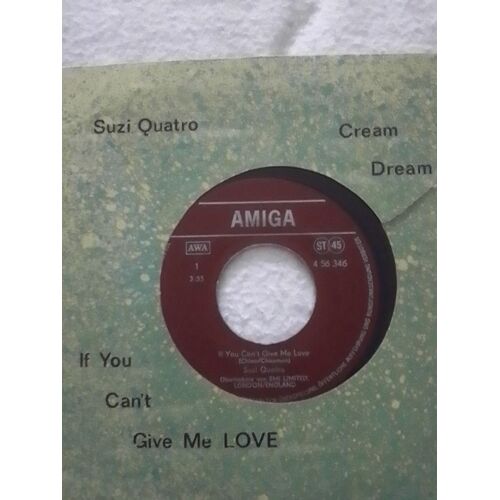 If You Can't Give Me Love