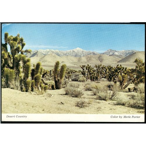 Carte Postale Desert Country, Color By Merle Porter