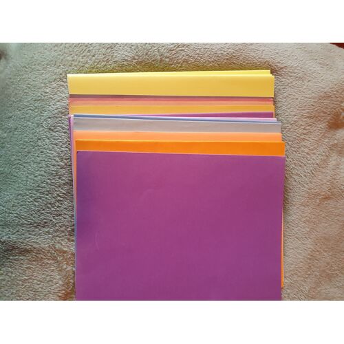 Lot De 10 Chemises Cartonnées