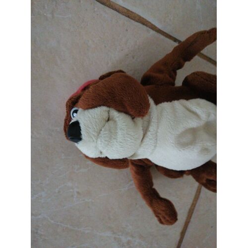 Doudou Chien Caisse D Épargne