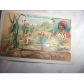 Bon Point Ancien (Notre Domaine Colonial) Vin De Vial