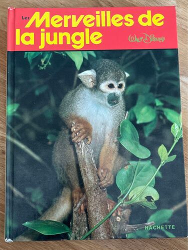 Les Merveilles De La Jungle