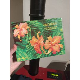 Coffret Parfum Eau De Toilette Orchidée Yves Rocher 100 Ml + Foulard 