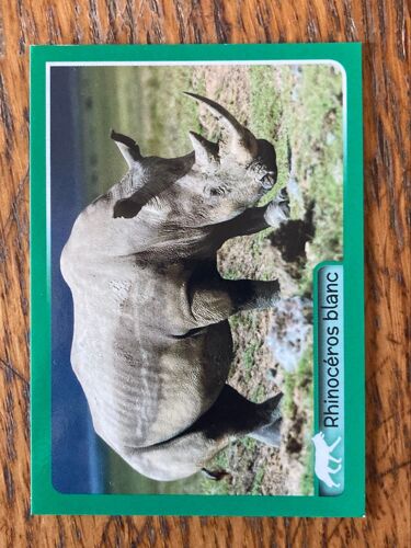 (4242) Image Panini 114 Animaux 2014/2015 