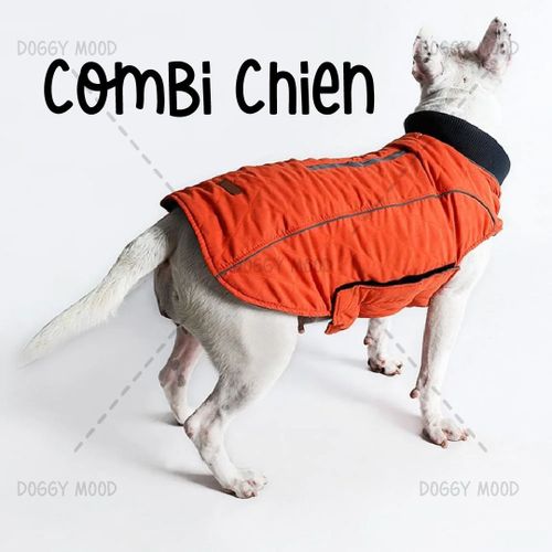 Veste Pour Chien + Balle Rebondissante Intelligente