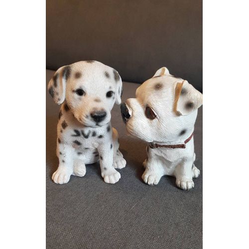 Déclaration d'intérieur, set de deux chiots