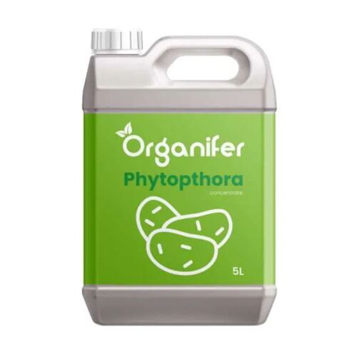 Concentré Phytophthora - 5 L Pour 5000 M2 - Produit Pour Pommes De Terre Et Tomates - Entretien Des Plantes - Engrais Végétal - Organifer