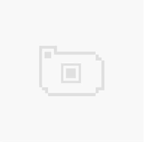 Seigneur Des Anneaux Coupe Frodon