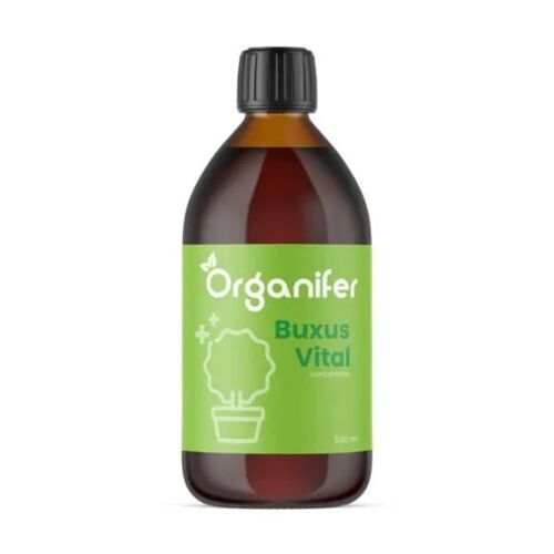 Buxus Vital 500 Ml - Concentré Pour 50 Mètres De Haie - Chenille Du Buis - Pyrale Du Buis - Moisissure Du Buis - Résistant - Organifer