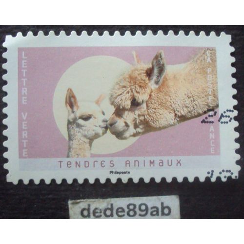 Timbre France 2023 . Tendres Animaux : Alpagas . Oblitéré