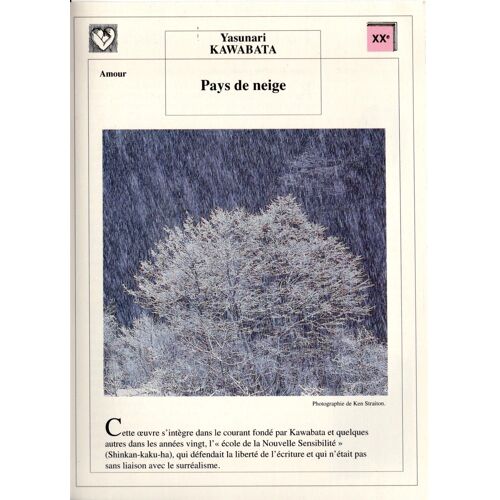 Fiche Lecture / Litterature Yasunari Kawabata Pays De Neige