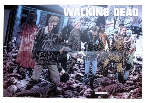 Affiche The Walking Dead (Robert Kirkman Robert / Charlie Adlar), Delcourt Comics 2013
