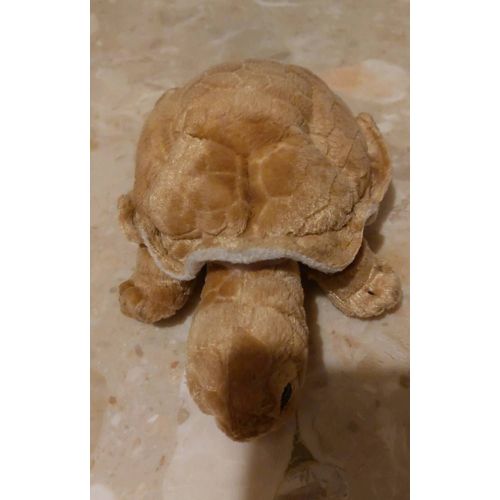 Peluche Tortue