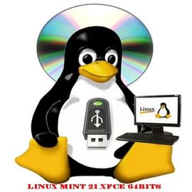 Linux Mint 22 Wilma Xfce Stable 64bits - Clé Usb Bootable D'installation 64bits