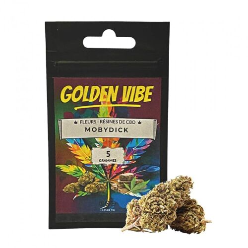 Golden Vibe Mobydick 5g- Fleur De Cbd 