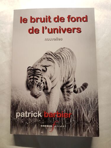 Le Bruit De Fond De L'univers