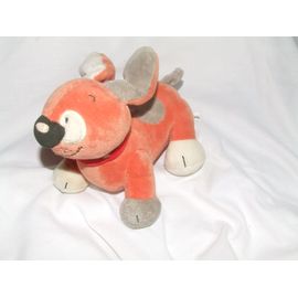 Chien Catimini Orange