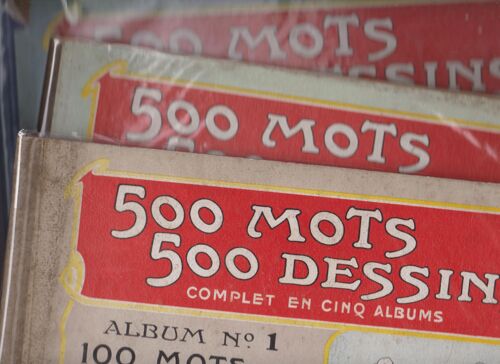 500 Mots 500 Dessins : Album 1, 3 Et 5 Chacun 100 Mots 100 Dessins À Colorier Avec Le Texte En Français , Anglais Et Allemand