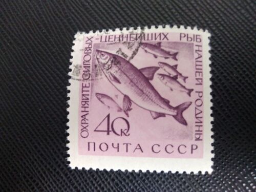 Timbre Russie / Urss Yt 2185 A Lavaret (Coregonus Lavaretus) 1960 (030209 )