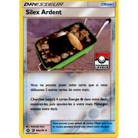 Dresseur Silex Ardent - Sl7.5 Majesté Des Dragons - 60a/70 - Vf - Logo Pokémon League
