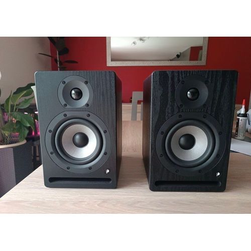 Enceinte de Monitoring PRODIPE PRO5 V4 (paire)