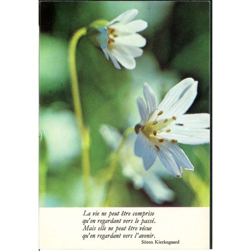 Carte Postale La Vie Ne Peut Être Comprise Qu'en Regardant Vers Le Passé Mais Elle Ne Peut Être Vécue Qu'en Regardant Vers L'avenir, Söron Kierkegaard, 1977