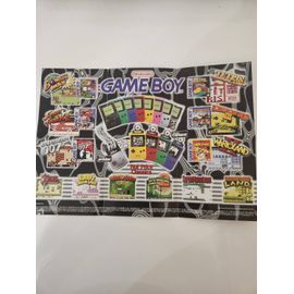 Flyer Gameboy