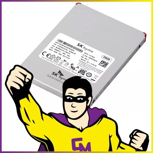 SSD 256Go 2.5" SK Hynix HFS256G32TNF-N3A0A SATA III 6Gbps