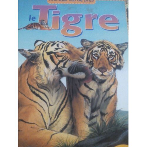 Le Tigre - Animaux Vus De Près - Panoramique Avec Dépliant